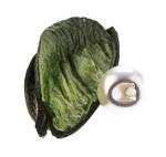 Knoflík 10mm - perla k našití