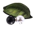 Knoflík 10mm - perla k našití