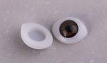 Očička s duhovkou 15x12mm