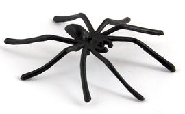 Pavouk 45x55 mm plastový